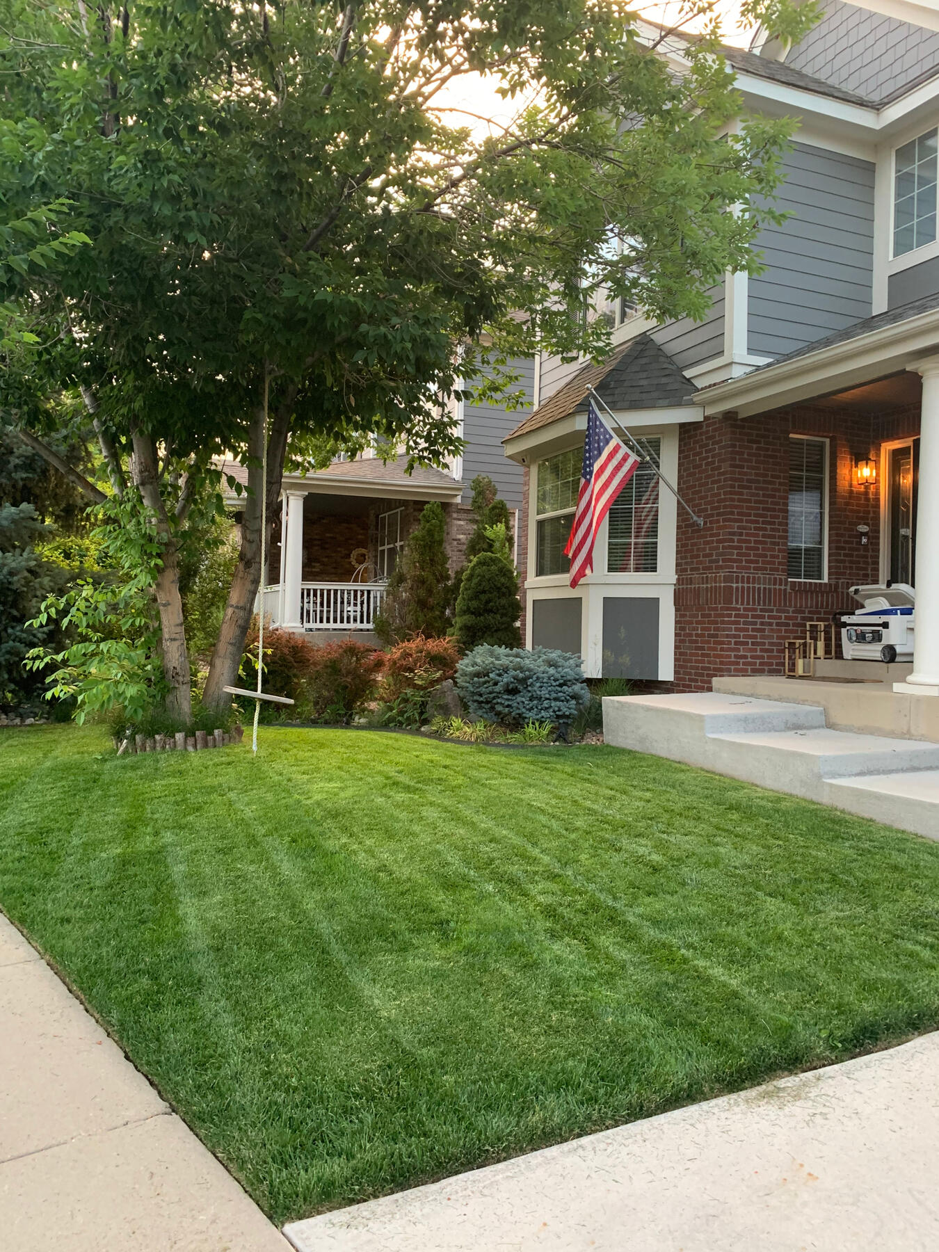 Front Yard